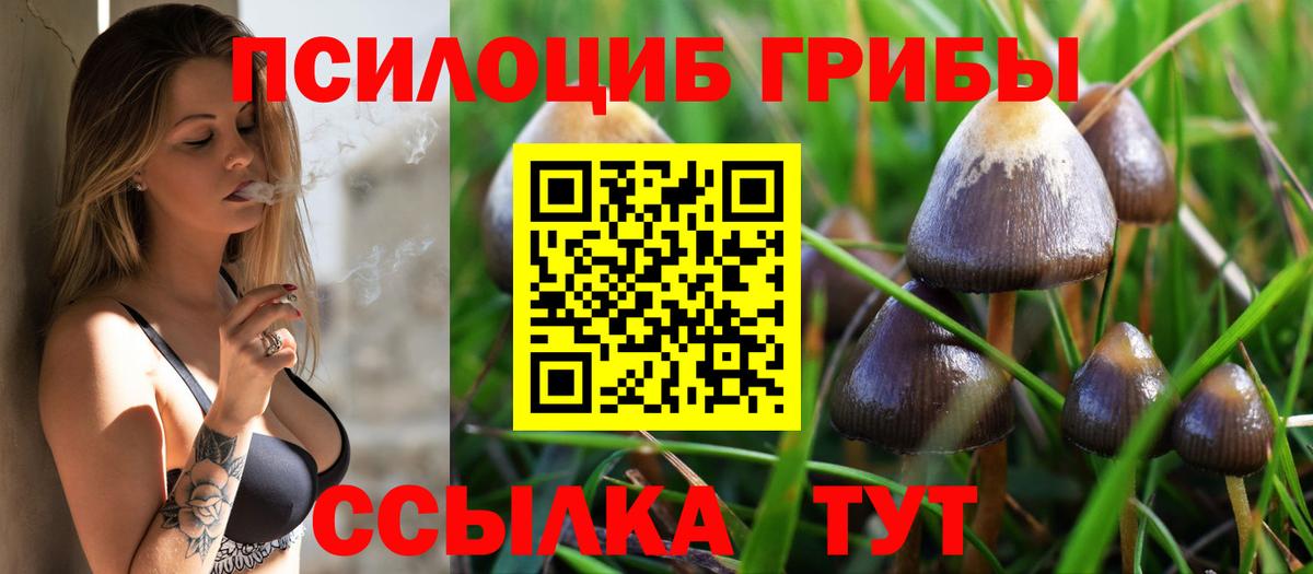 Галлюциногенные грибы мицелий Кушва