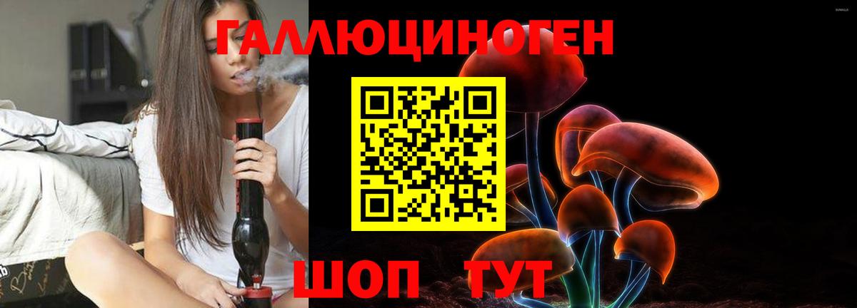Кушва  купить наркоту  Вход с VPN  Псилоцибиновые грибы Psilocybe 